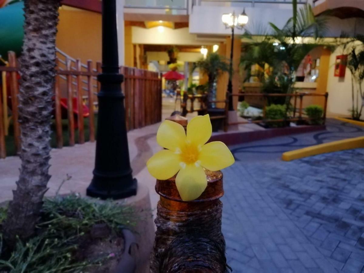 Marysol Las Palmas ริงกอน เด กัวยาบิโตส ภายนอก รูปภาพ